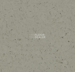 Кварцвиниловые полы Forbo Allura Colour/Colour Plus C68013-651013 cement фото 1 | FLOORDEALER